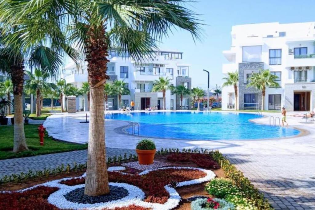 Appartement De Luxe ,Piscine,Parking,Terrasse アガディール エクステリア 写真